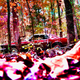 Illustration for article titled Shooting Challenge Fall Leaves Gallery 5